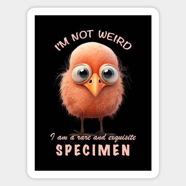 Bird I'm Not Weird I'm A Rare and Exquisite Specimen Cute Adorable Funny Quote Magnet by Cubebox